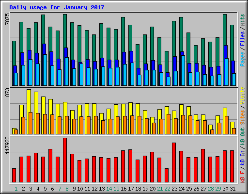 Daily usage for January 2017