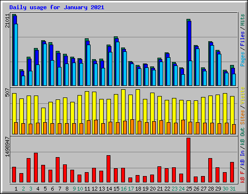 Daily usage for January 2021