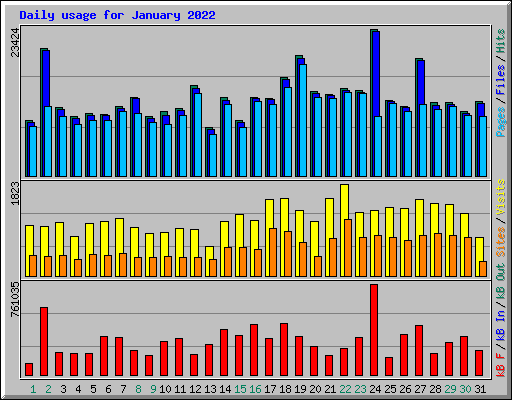 Daily usage for January 2022