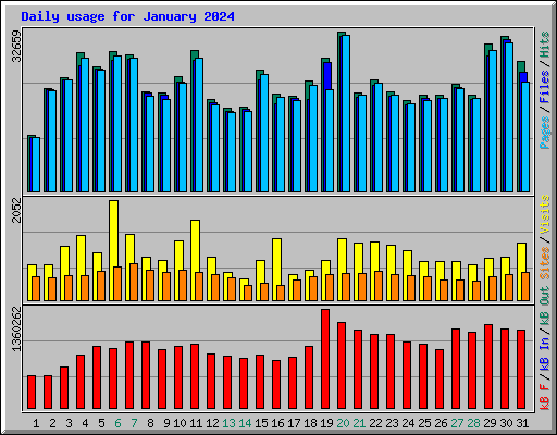 Daily usage for January 2024