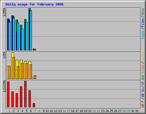 Daily usage for February 2026