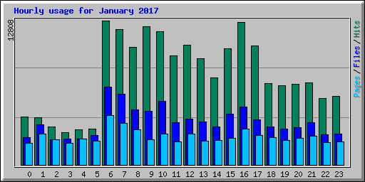 Hourly usage for January 2017