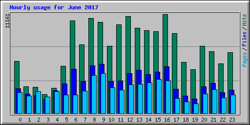 Hourly usage for June 2017