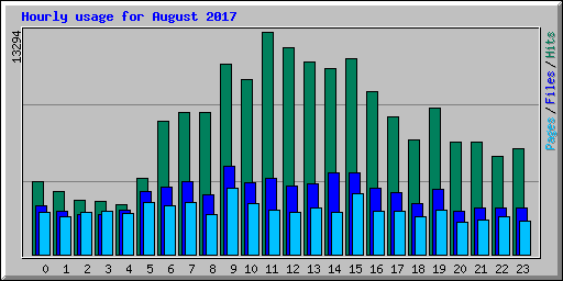 Hourly usage for August 2017