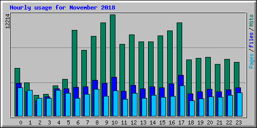 Hourly usage for November 2018