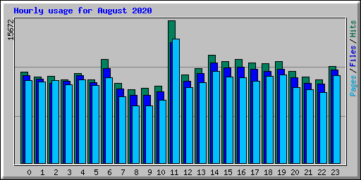 Hourly usage for August 2020