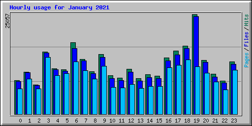 Hourly usage for January 2021