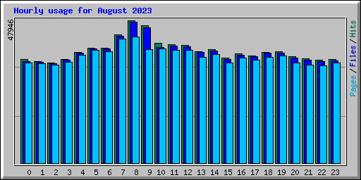 Hourly usage for August 2023