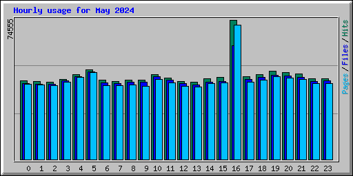 Hourly usage for May 2024