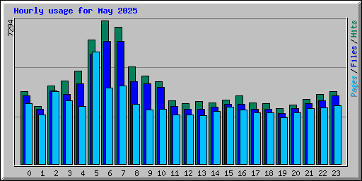Hourly usage for May 2025