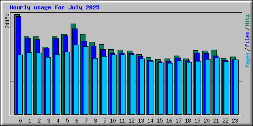 Hourly usage for July 2025