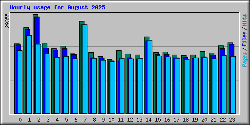 Hourly usage for August 2025