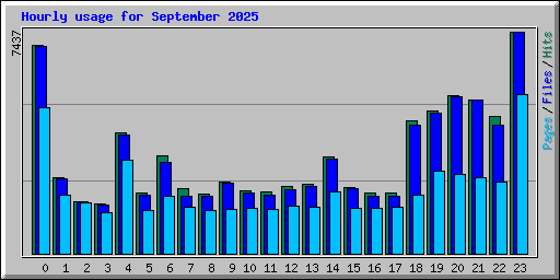 Hourly usage for September 2025