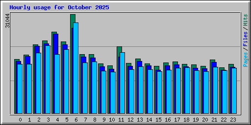 Hourly usage for October 2025