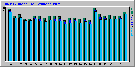 Hourly usage for November 2025