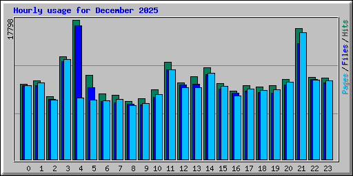 Hourly usage for December 2025