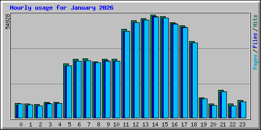 Hourly usage for January 2026