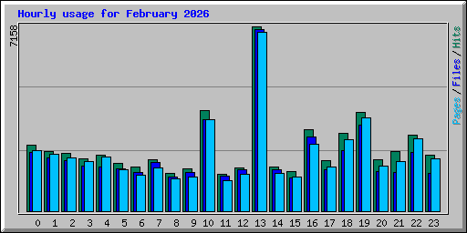 Hourly usage for February 2026